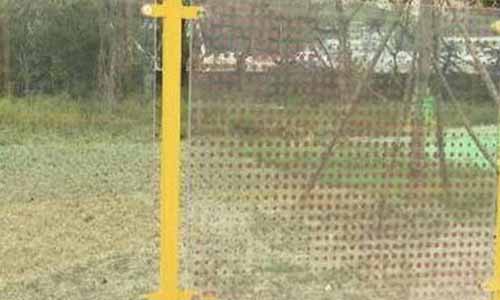 ما هو سلامة الطيور الزجاج ؟