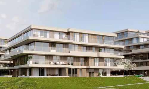 ما هو السور